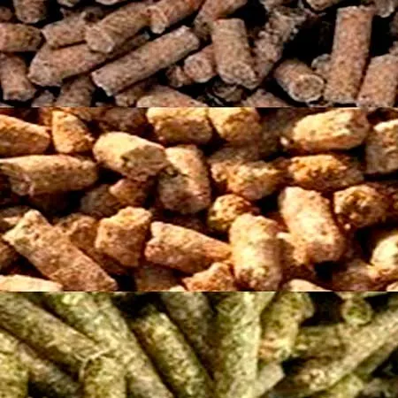 argos nutricion animal